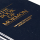Image for article titled Mormon Church Officially States That Being Gay Is Not a Choice